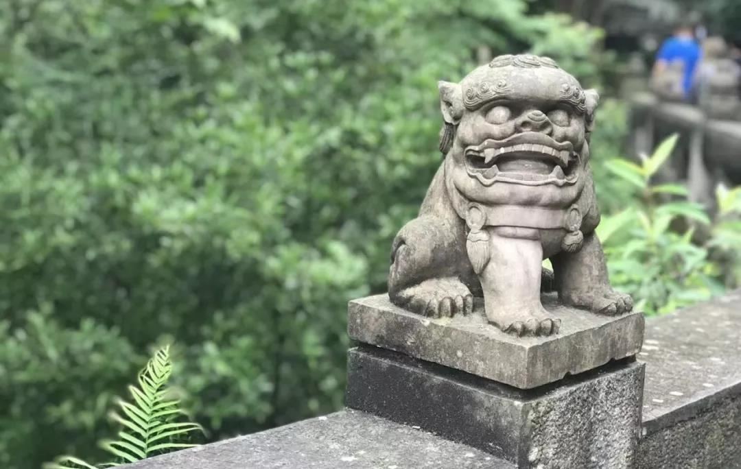 读弟子规国学经典总结