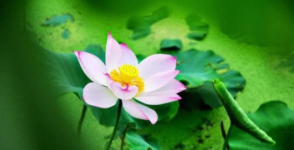 供财神的位置怎么选 家中财神供奉最佳位置