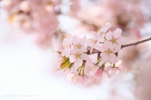 七杀与伤官心谁最毒 什么八字最狠毒