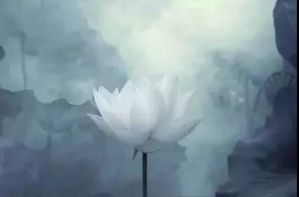 伤官见官的男女都有一个特点，就是要完全捧着自己