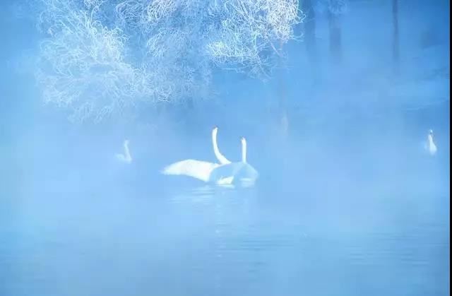 男方向女方提亲需要准备什么,准时赴约带好礼品