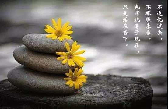 起名网怎么免费取名