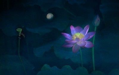 财帛宫化禄入十二宫——钱的用途