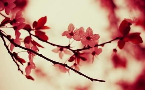 守孝遇上本命年怎么办 守孝期间禁忌