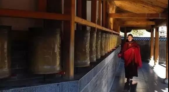 戊戌大食神是什么命格