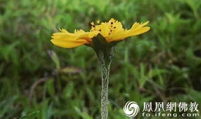 在线测试，免费塔罗预测准不准