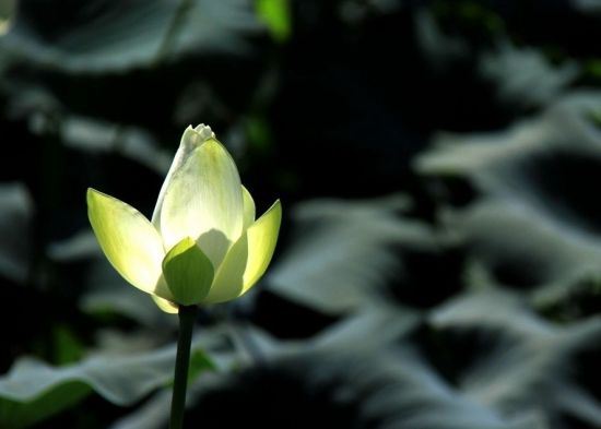 周易是国学经典