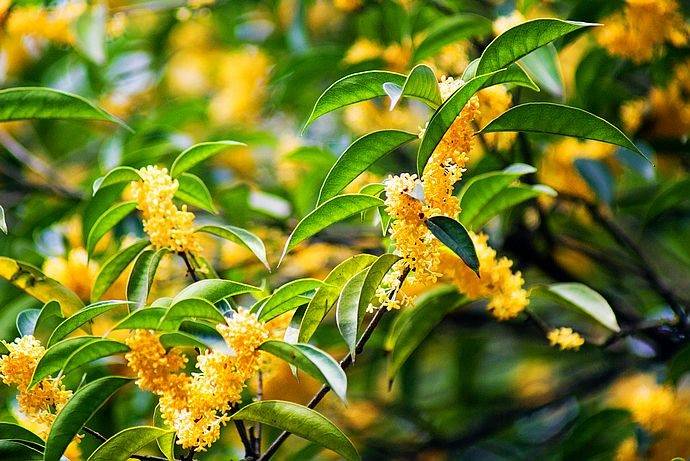 白羊座的房间怎么设计好看  白羊座的卧室怎么改