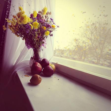 查询电话号码测吉凶