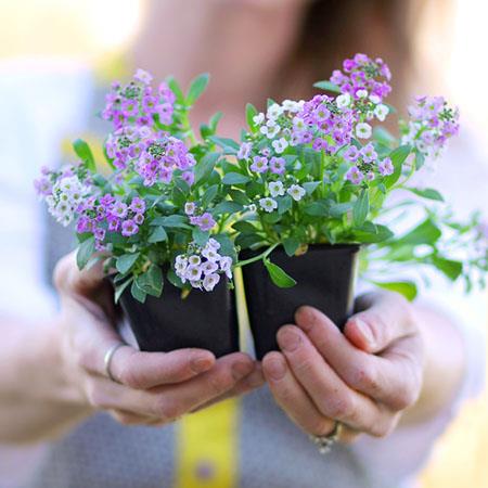 冷门好听的星系名字,古风清雅的名字