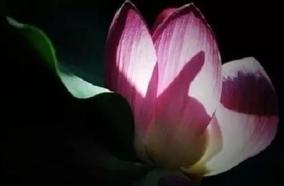 断断旺夫、旺妻的名字玄机