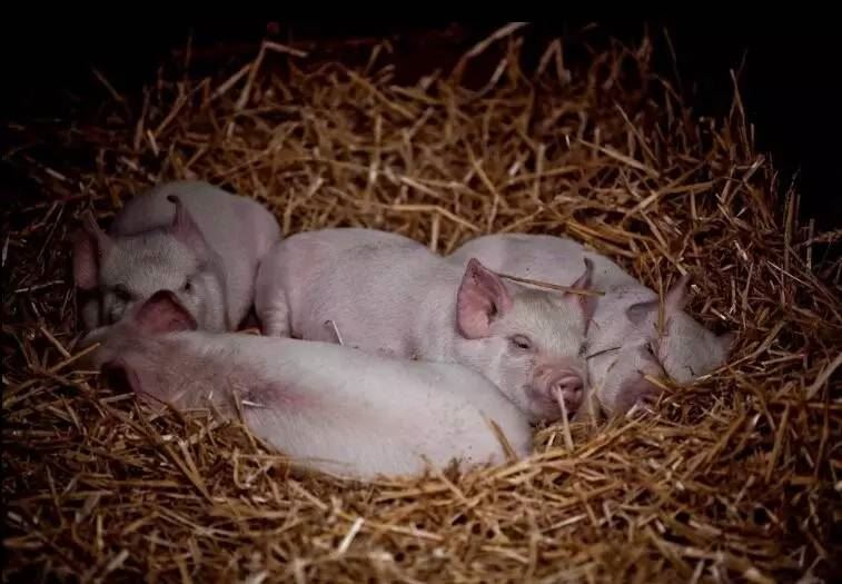 五行齐全的人多不多,五行齐全有多可怕