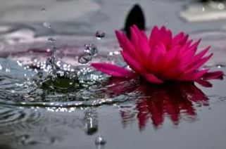 倪海厦《天纪》第22卦：山火贲【易经、占卜、阳宅、先天卦、后天卦、流年卦】