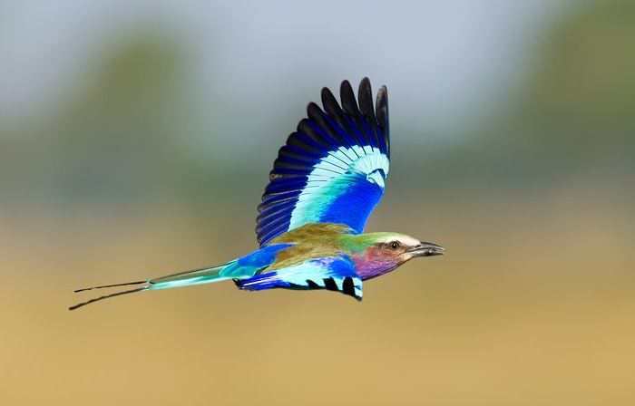 眉心有痣的女人旺夫吗,有什么说法