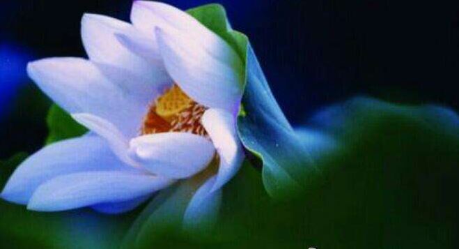 中元节穿什么颜色衣服辟邪 中元节辟邪的东西有哪些