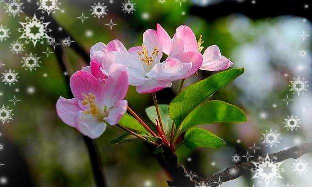 中元节晚上几点就不能出去了 中元节晚上可以洗澡吗