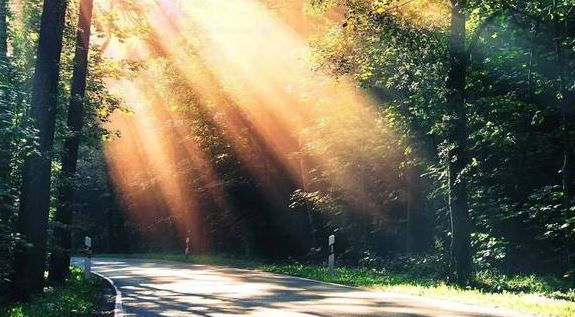 2025年农历三月十八出生的女宝宝八字起名  高雅有气质的孩名字