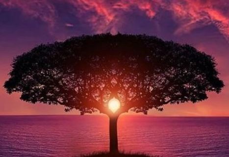 一九九四年属什么生肖