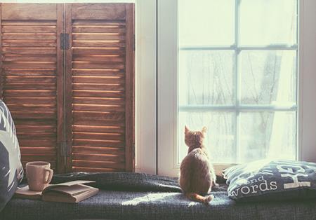 国学经典游子吟赏析