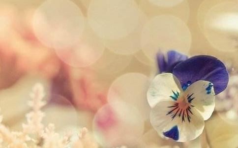 紫微斗数人物代表  紫微斗数最厉害的人