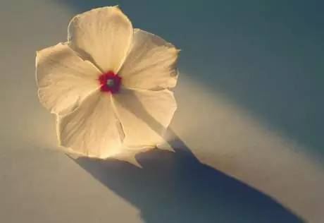 中元节这些方面你注意了吗？