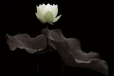 美育国学经典的下一步措施