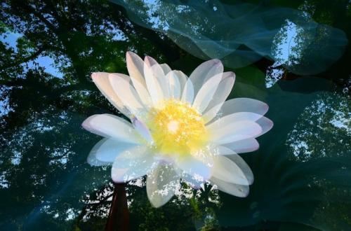 男人右眼皮有痣好不好？代表什么含义？