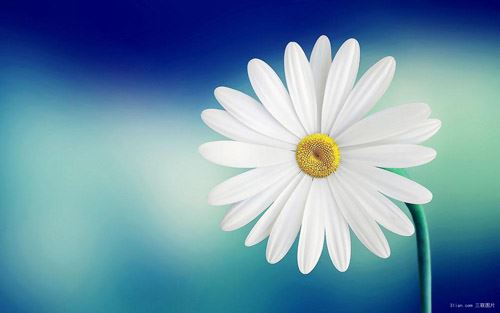 居士给宝宝起名