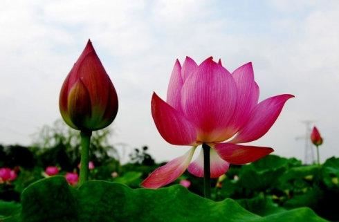 周易姓名五行免费查询