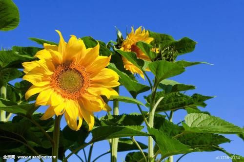 楼盘应该如何挑选才能有好的装修风水