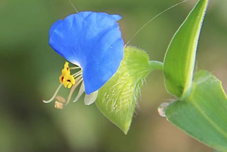 年轻人应该学的国学经典有