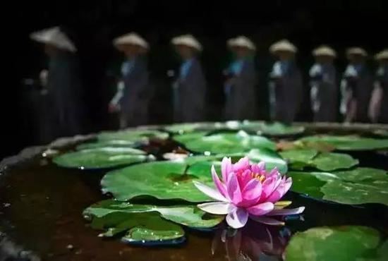 紫微斗数：十二宫的家宅类象