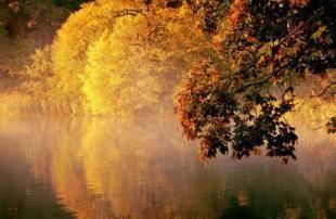 属羊的本命佛是什么佛 运势不好怎么转运