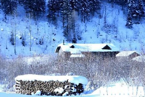 72年属鼠2024年幸运色 流年忌讳的颜色