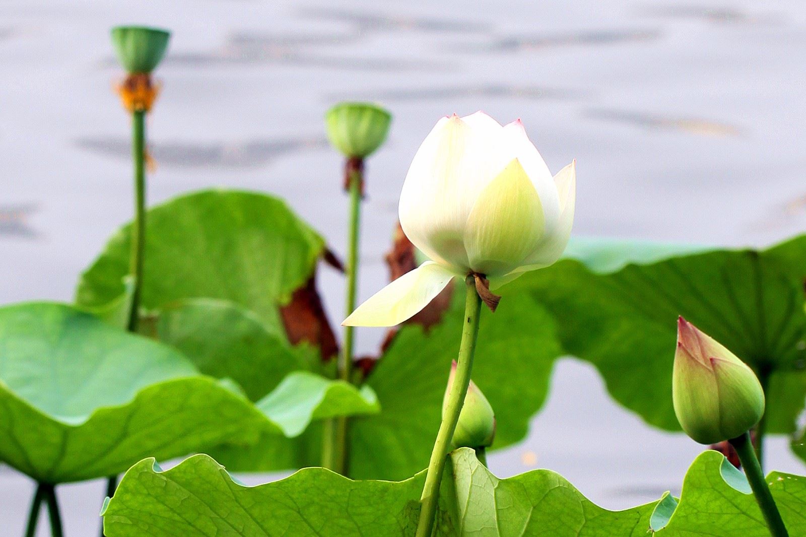 如何自学易经,普通人怎么学易经