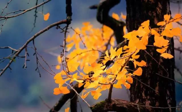 身边小人多怎么化解 如何化解身边小人