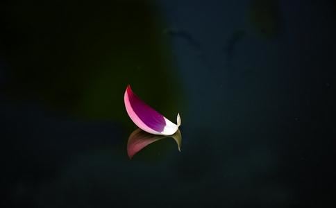 72年的女鼠这几年的艰难岁月