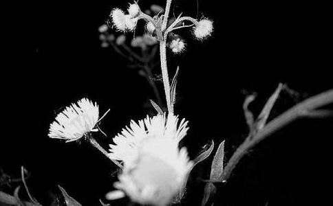 羊刃的分类及含义,羊刃驾杀和食神制杀哪个厉害