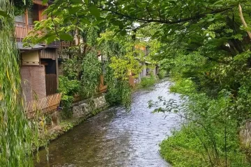 生肖虎的人的祸害根源：身边小人太多