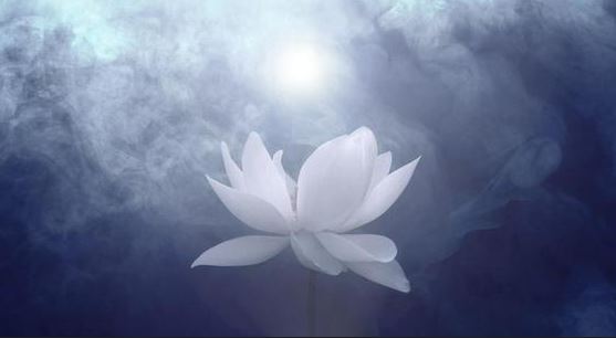 十二生肖百科之巳蛇