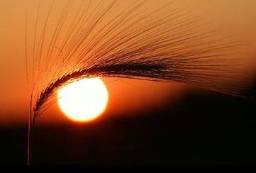 给宝宝的卧室起名字