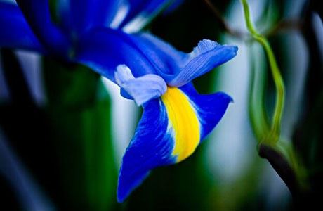 “十兔九苦”说的是哪个月份属兔人命最苦