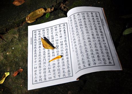 国学经典大学经典