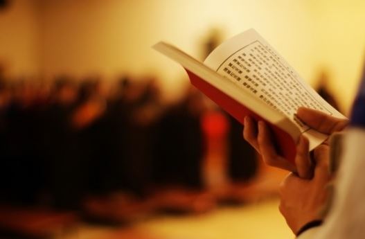 做梦梦见马吃草，金钱运势上升中