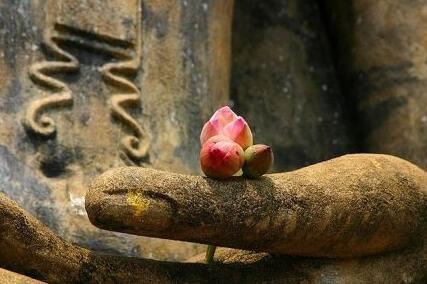 搜索关于国学经典