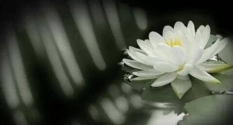 国学经典小常识