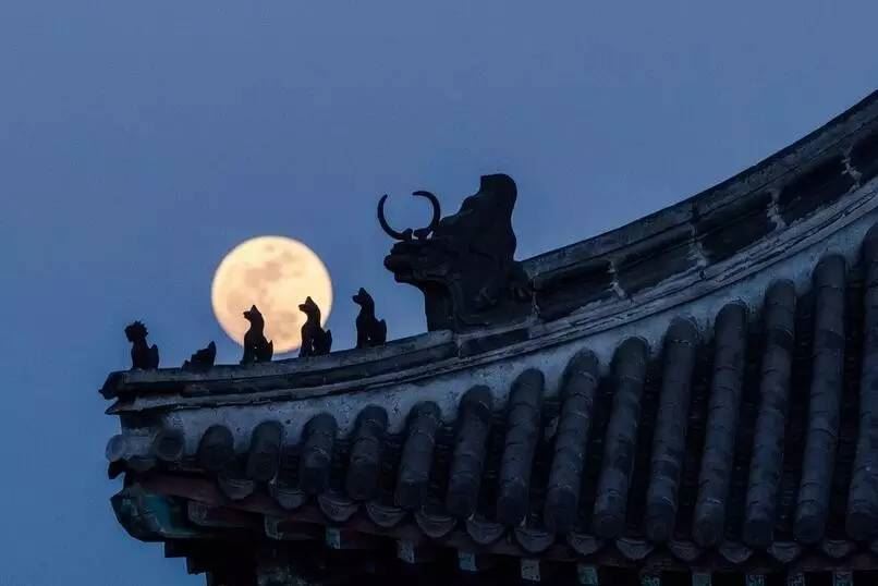 严姓猪宝宝起名大全