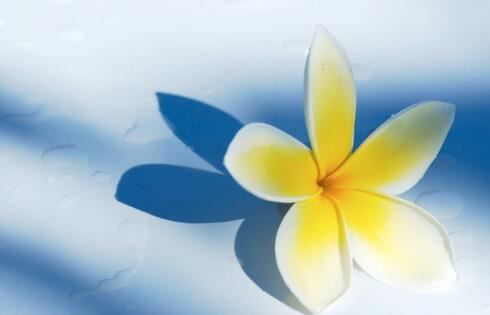 国学经典比赛小学生二年级