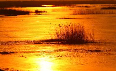 茶几颜色有什么风水禁忌 茶几颜色有何风水忌讳