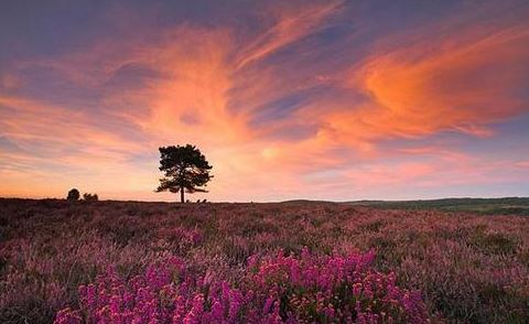 家庭风水布局讲解